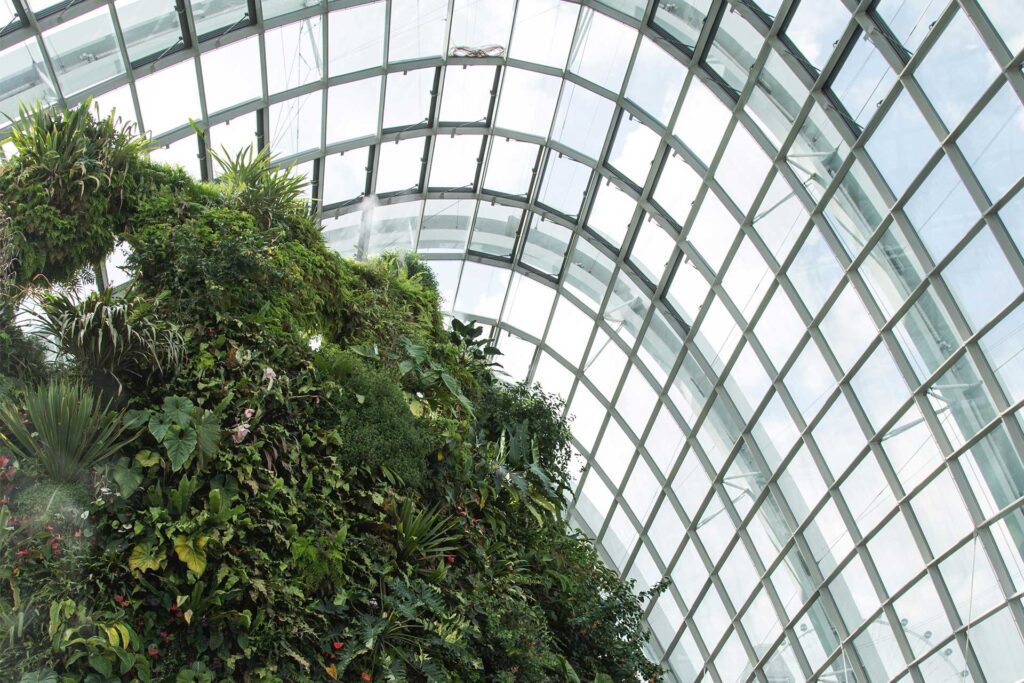 À L'ÉCOUTE DE NOS PASSIONS